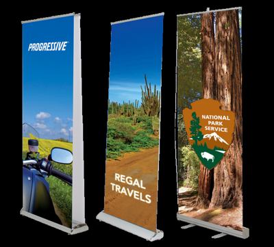 Promotional Roll Up Standee, Size: 6x2.5 Feet